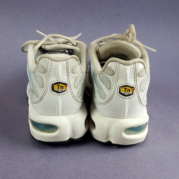 Nike Air Max Plus Summer Gradient (Women's) Shoe Rainbow 605112 115