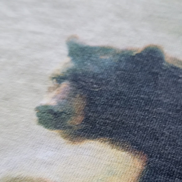VINTAGE 2002 THE MOUNTAIN Green Bear Graphic T-Shirt TIE DYE