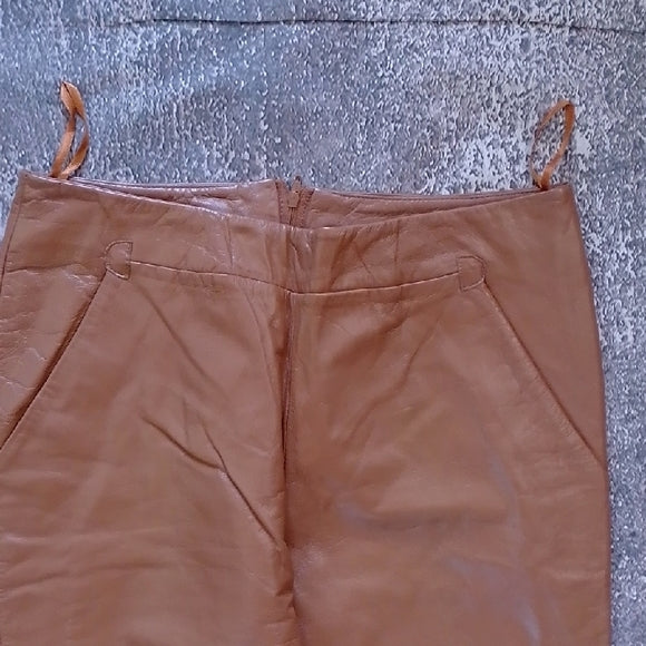 Danier Brown Leather Pants
