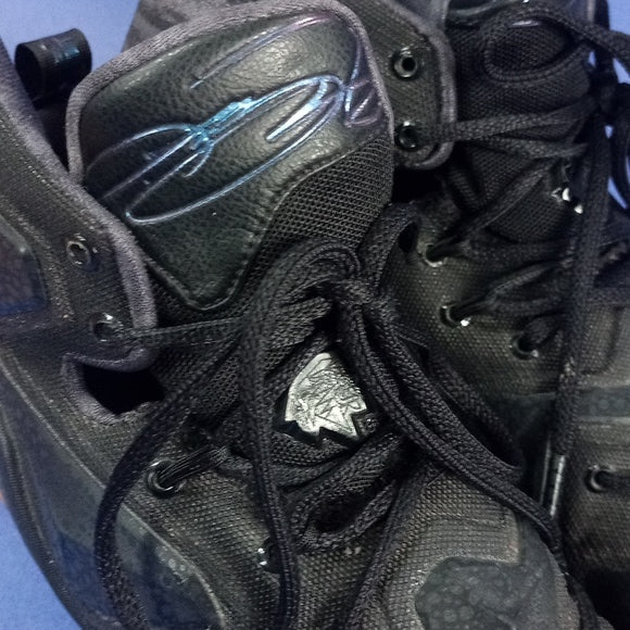 Nike LeBron 13 Black Lion Shoes 807219-001