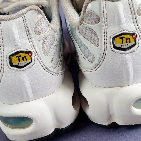 Nike Air Max Plus Summer Gradient (Women's) Shoe Rainbow 605112 115