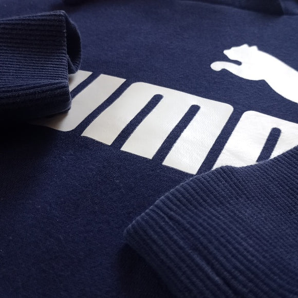 PUMA Way 1 Blue Essential Hoodie Sweater