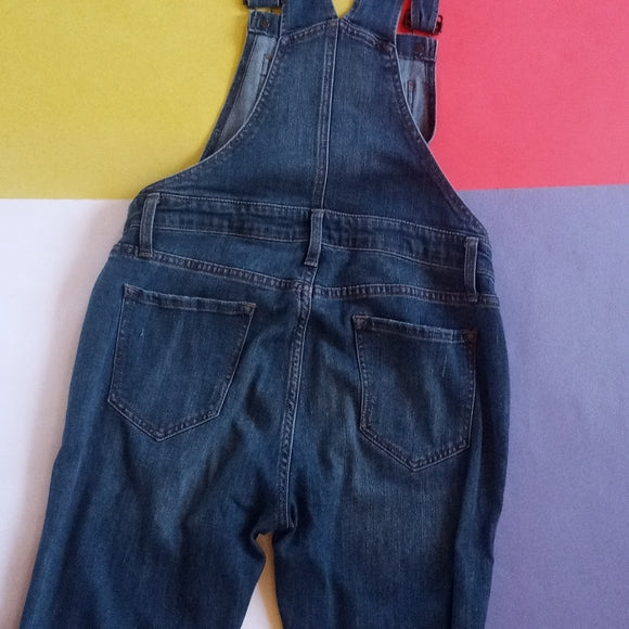 GAP Women's Denim Jean Indigo Overalls