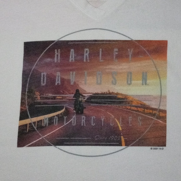 Harley Davison Motorcycle V-Neck Graphic T-Shirt