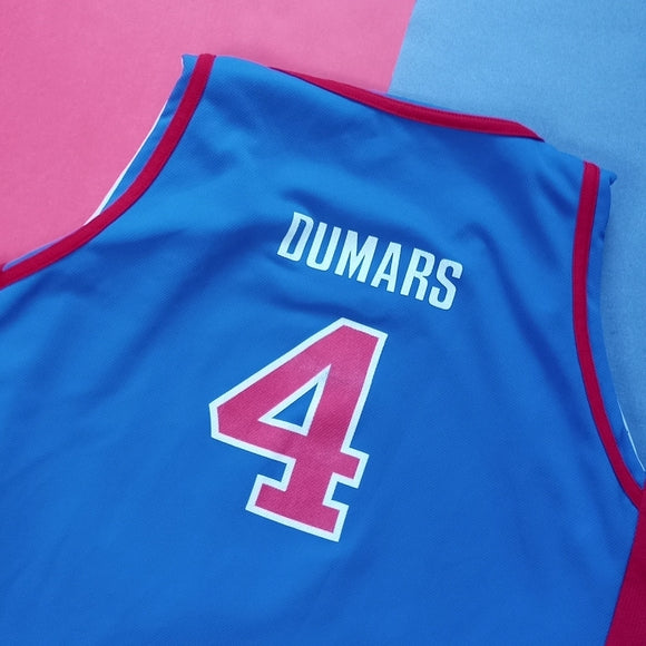 Detroit Pistons Joe Dumars Rip Hamilton Reversible Jersey