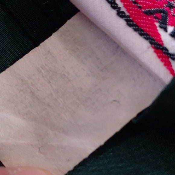 Vintage 90s Green Hooded Windbreaker Jacket Chameleon Glow