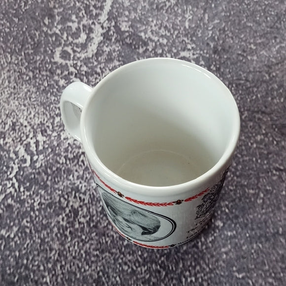 VINTAGE 1981 MUG MARRIAGE OF THE PRINCE OF WALES & LADY DIANA SPENCER