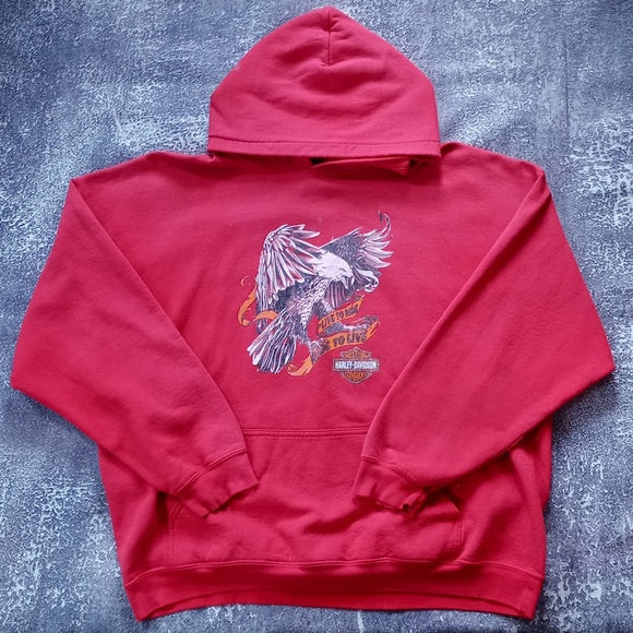 Vintage Y2K Harley Davidson Flying Eagle Hoodie Live To Ride, Ride to Live