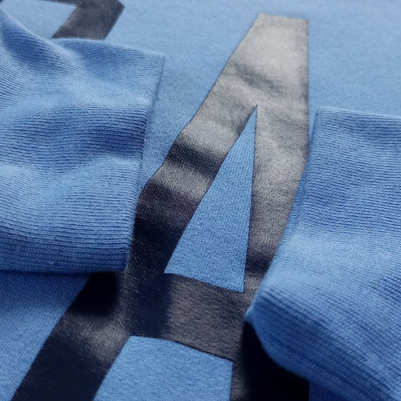 THE GAP Big Print Sweater Crewneck Blue