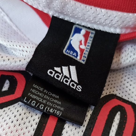 NBA CHRIS BOSH TORONTO RAPTORS KIDS BASKETBALL JERSEY