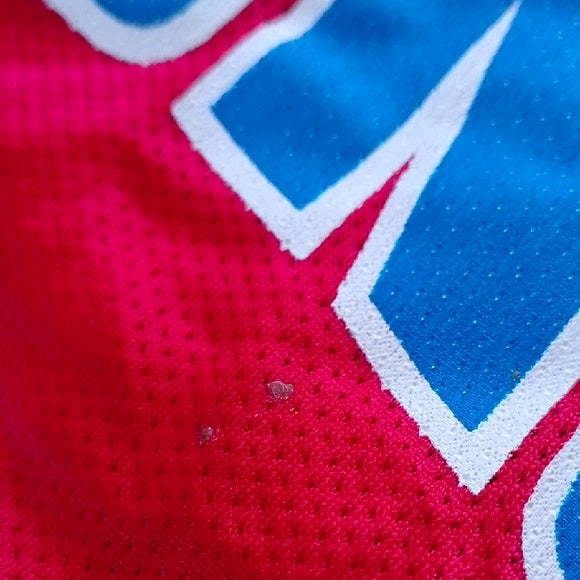 Vintage Grant Hill Champion Red Pistons Jersey #33 SIZE 48