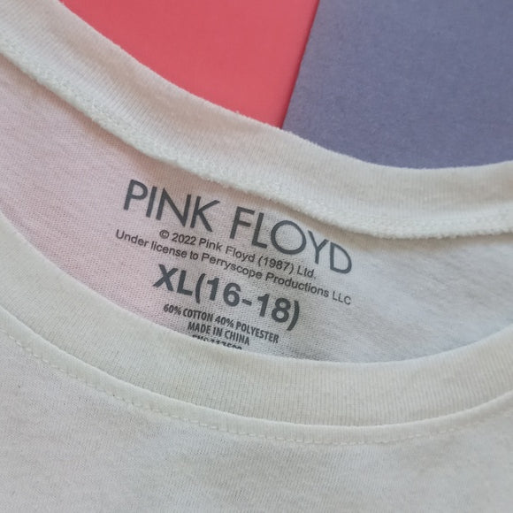 Official Pink Floyd The Dark Side Of The Moon Graphic T-Shirt