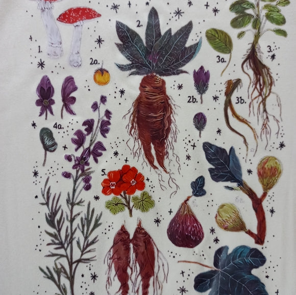 Herbology Floral Roots Seeds Leaves T-Shirt