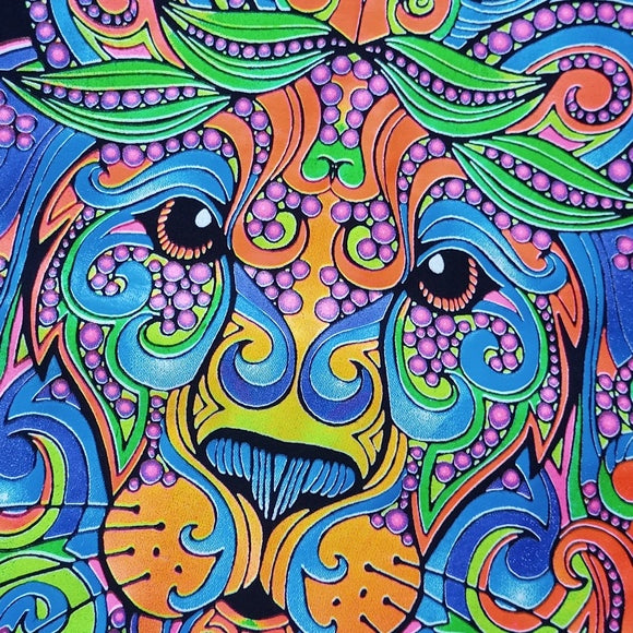 Colorful Lion Head Graphic T-Shirt Unisex