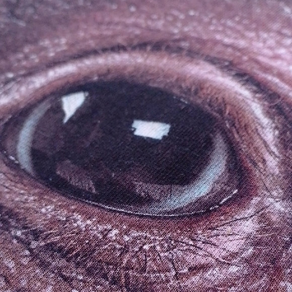 2012 The Mountain Brown Baby Orangutan Monkey Face T-Shirt