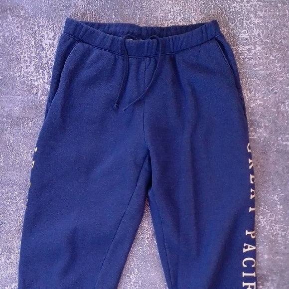 Patagonia Great Pacific IRON WORKS Dark Blue Joggers