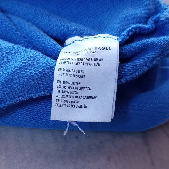 Compact disc Digital Audio Pullover Hoodie Blue