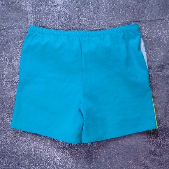 Vintage 90s Men's Neon Green and Blue Swim Shorts