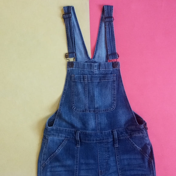 GAP Women's Denim Jean Indigo Overalls
