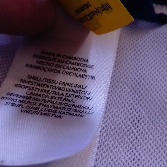 Polo Ralph Lauren Striped Swim Shorts