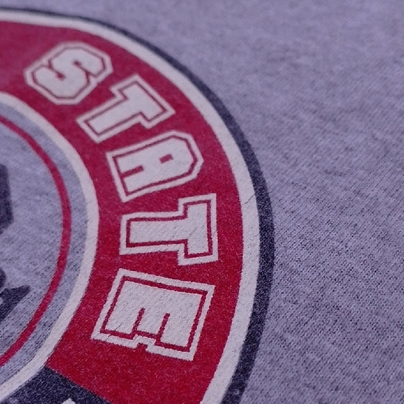 Vintage 2001 Ohio State It's TIME Gray T-Shirt