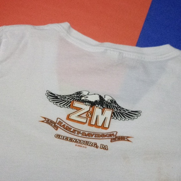 Harley Davison Motorcycle V-Neck Graphic T-Shirt