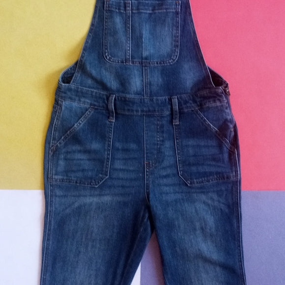 GAP Women's Denim Jean Indigo Overalls