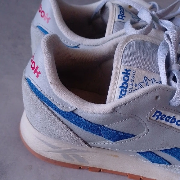 Reebok Classic Leather Dusty Warehouse Pack Grey Blue Trainers Shoes