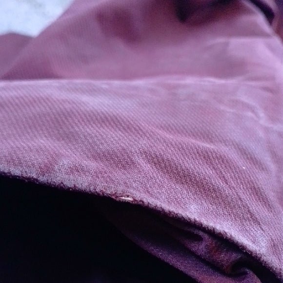 Arc'teryx PATERA PARKA Gore-tex Maroon Goosedown Outerwear