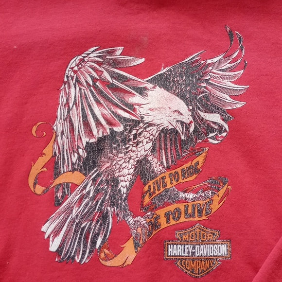 Vintage Y2K Harley Davidson Flying Eagle Hoodie Live To Ride, Ride to Live
