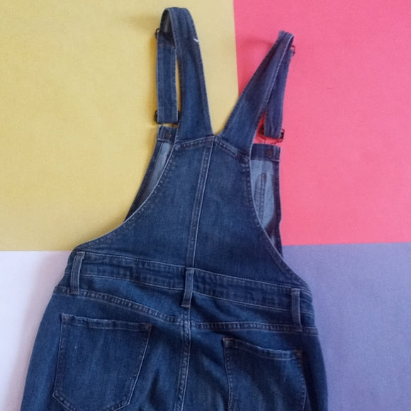 GAP Women's Denim Jean Indigo Overalls
