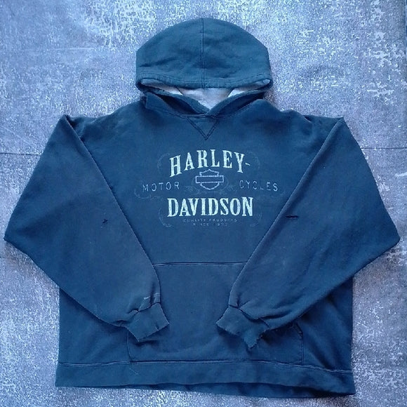 Harley-Davidson Men's Dark Gray Hoodie Distressed