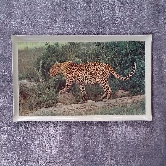 Vintage 1980s Abercrombie & Fitch Serving Tray Leopard Decorative Tray
