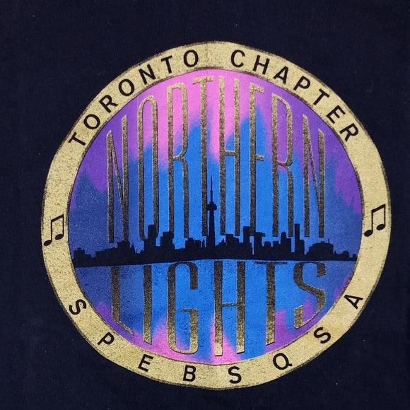 Vintage 90s Toronto Chapter Northern Lights T-Shirt BEEFY T