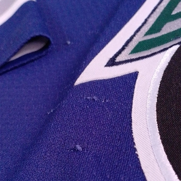 Vintage RARE IHL HOUSTON AEROS AUTHENTIC BAUER HOCKEY JERSEY