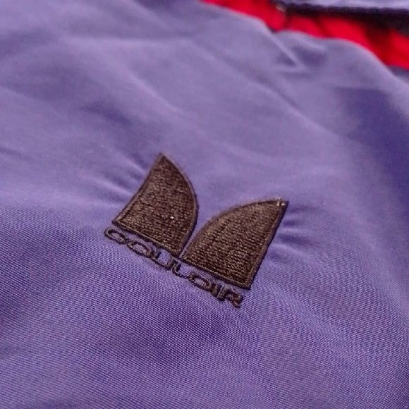 Vintage 90s COULOUR Colourblock SKI Jacket in Red and Blue UNISEX