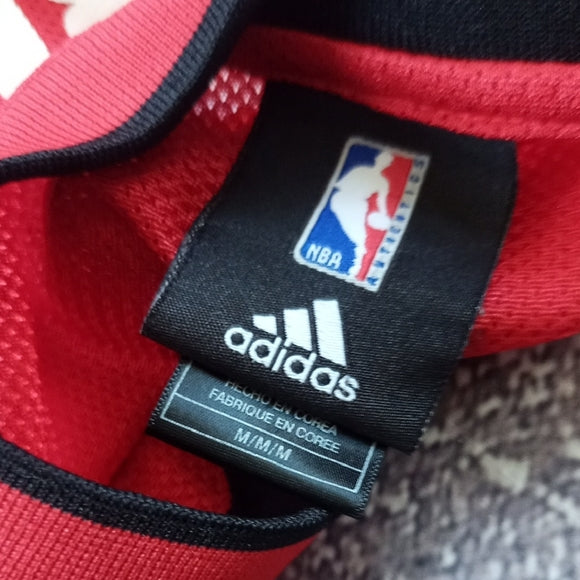 NBA TJ FORD #11 TORONTO RAPTORS BASKETBALL JERSEY