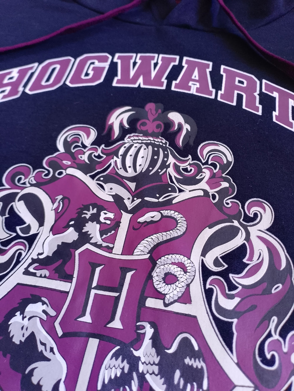 Hogwarts School Of Witchdraft and Wizardry Hoodie
