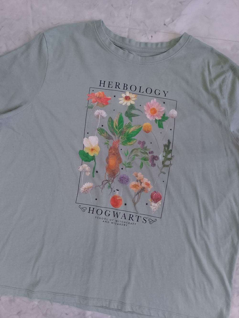Hogwarts Herbology Graphic Tee - Sage Green
