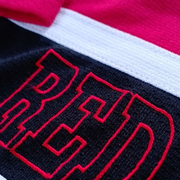 VINTAGE 90s Red Wings Kids Hockey Jersey