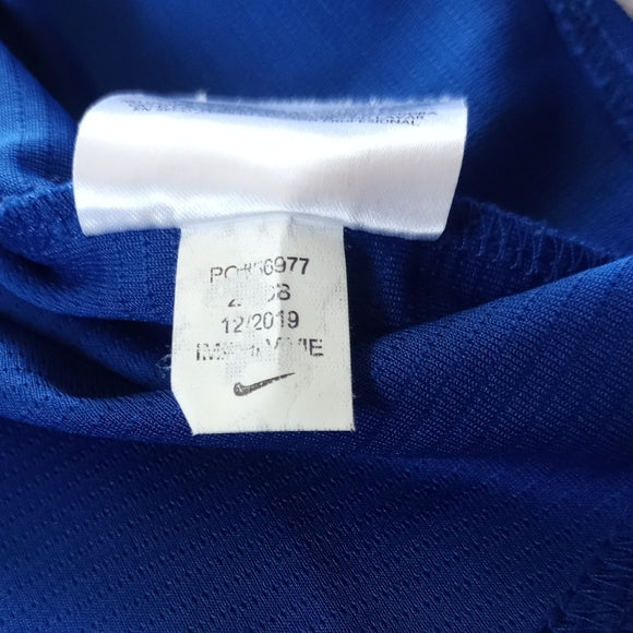 Nike MLB TORONTO BLUE JAYS Vladimir GUERRERO JR. BASEBALL JERSEY
