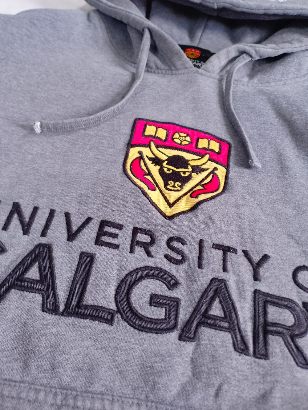UNIVERSITY OF CALGARY HEALTH SCIENCES Hoodie