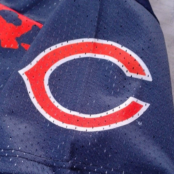 VINTAGE CHICAGO BEARS NFL Wilson Jersey