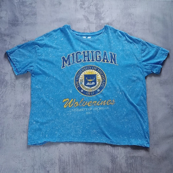 University Of Michigan Wolverines Tie Dye T-Shirt