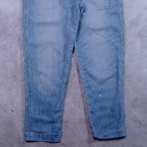 GAP Train Conductor Railroad Striped Demim Overalls Workwear