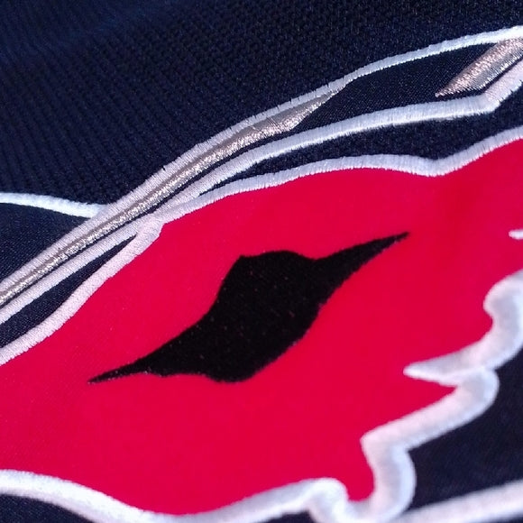 CAROLINA HURRICANES REEBOK NHL Alternate Black Hockey Jersey Youth