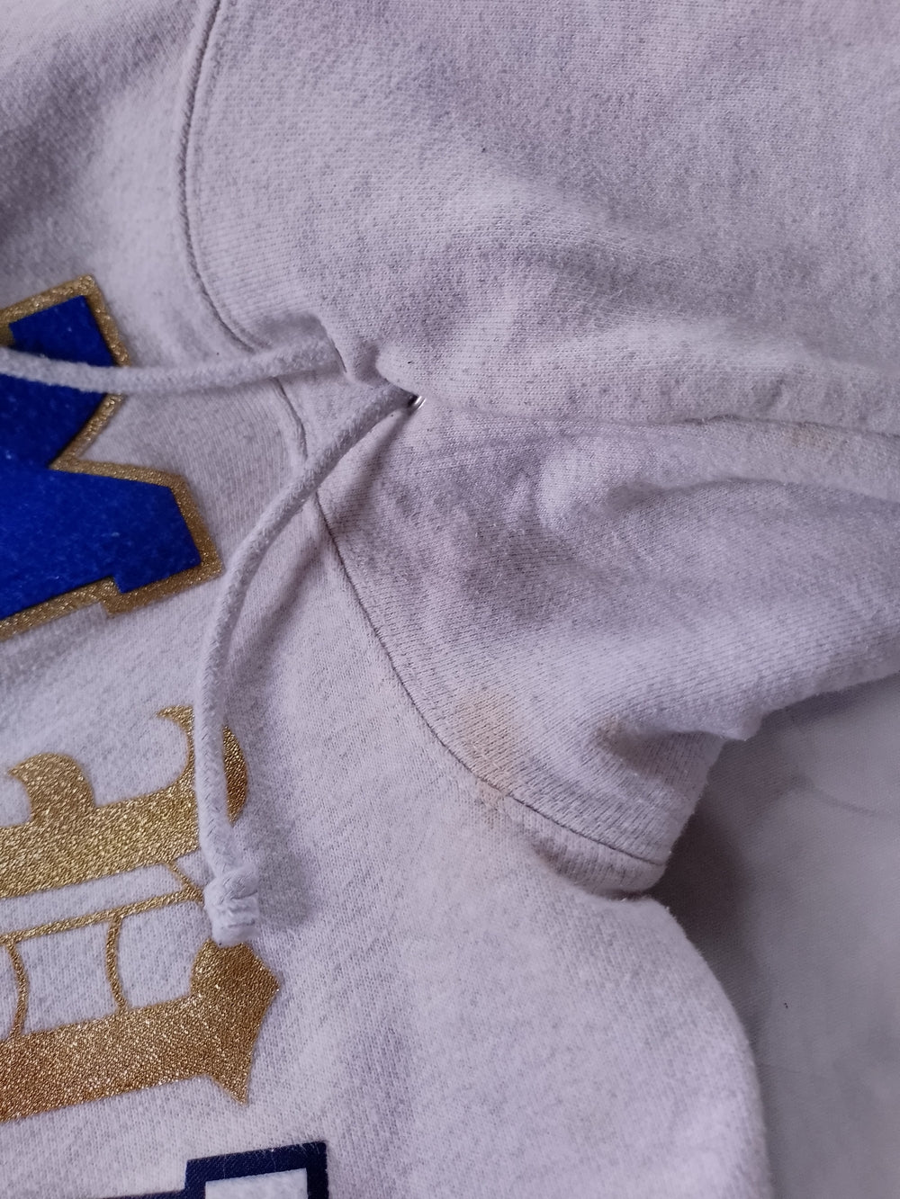 Champion Reverse Weave Pullover Hoodie