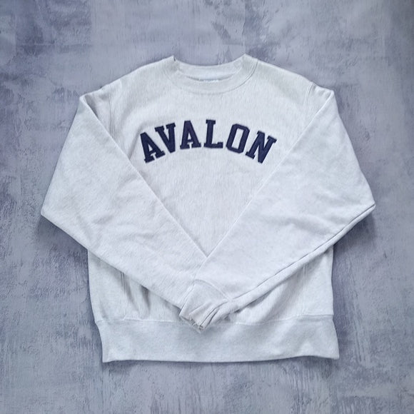 Vintage AVALON Champion Reverse Weave Crewneck Sweater