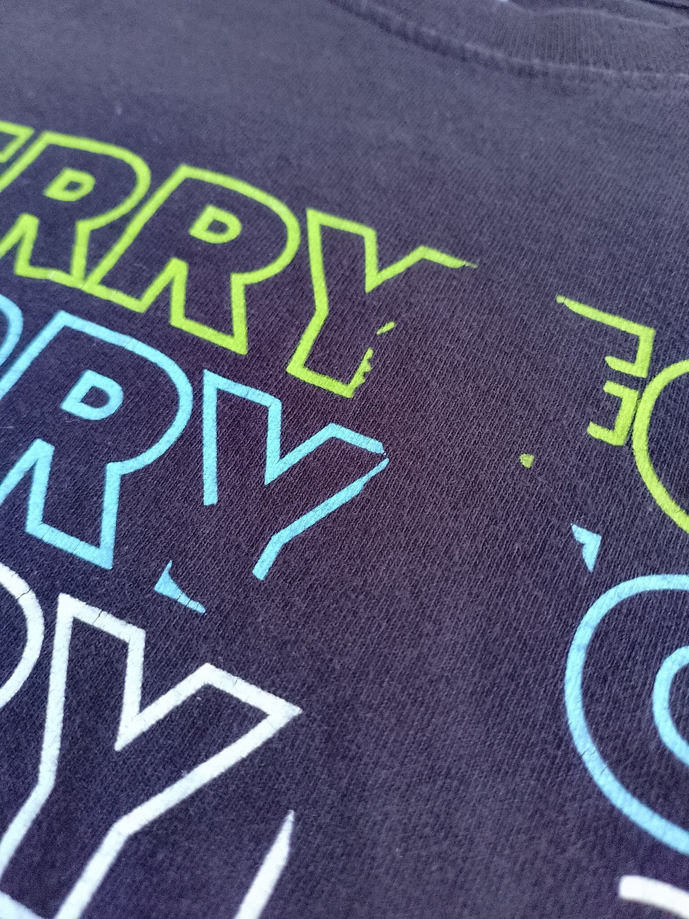 2019 TERRY FOX RUN T-SHIRT