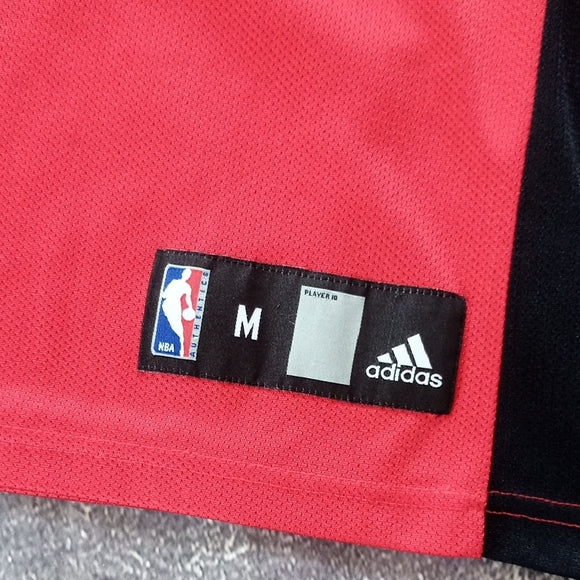 NBA TJ FORD #11 TORONTO RAPTORS BASKETBALL JERSEY